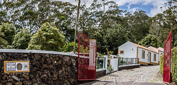 Quinta Do Malhinha- Turismo Villa Angra do Heroismo Exterior photo